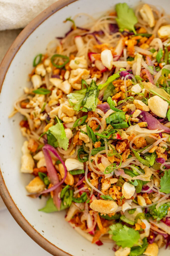 Close up of a mixed noodle salad with roasted cashews, cabbage, radishes and shredded tofu.